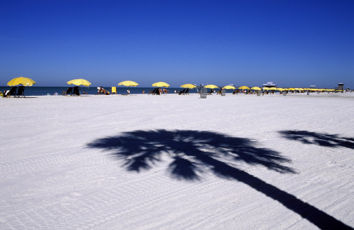 Looking For The Best Addiction Rehab in Florida?
